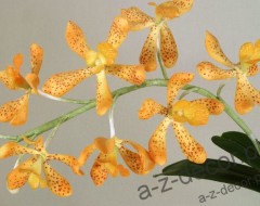 Sztuczna orchidea Vanda