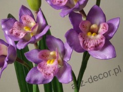 orchids9