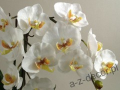 Sztuczne orchidee w białym kolorze